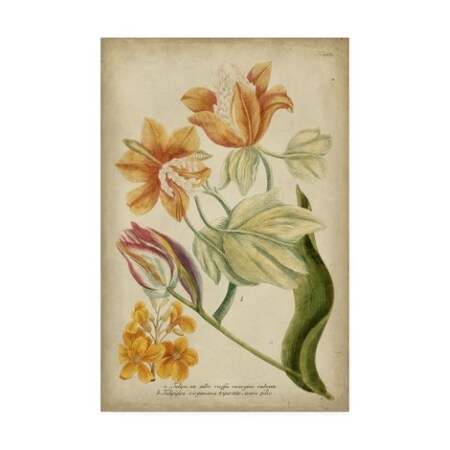 Weinmann 'Weinman Tropical Floral Ii' Canvas Art,30x47